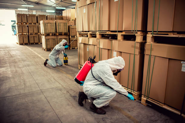 Pest Prevention Services in Collings Lakes, NJ