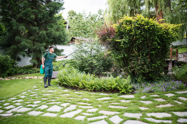 Best Pest Control Near Me  in Collings Lakes, NJ